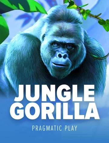 Jungle Gorilla, a Pragmatic Play game with 96.5% RTP at Kachingo Casino