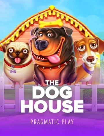 The Dog House, a Pragmatic Play game with 96.5% RTP at Kachingo Casino